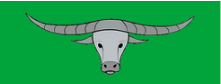 Green Field & Carabao